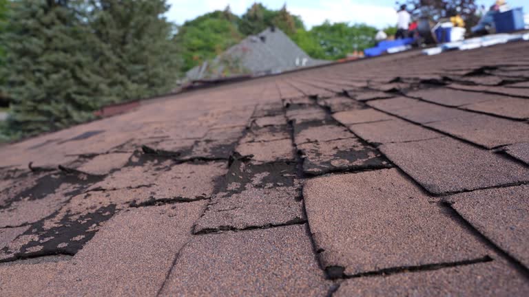 Best Steel Roofing  in Royse City, TX